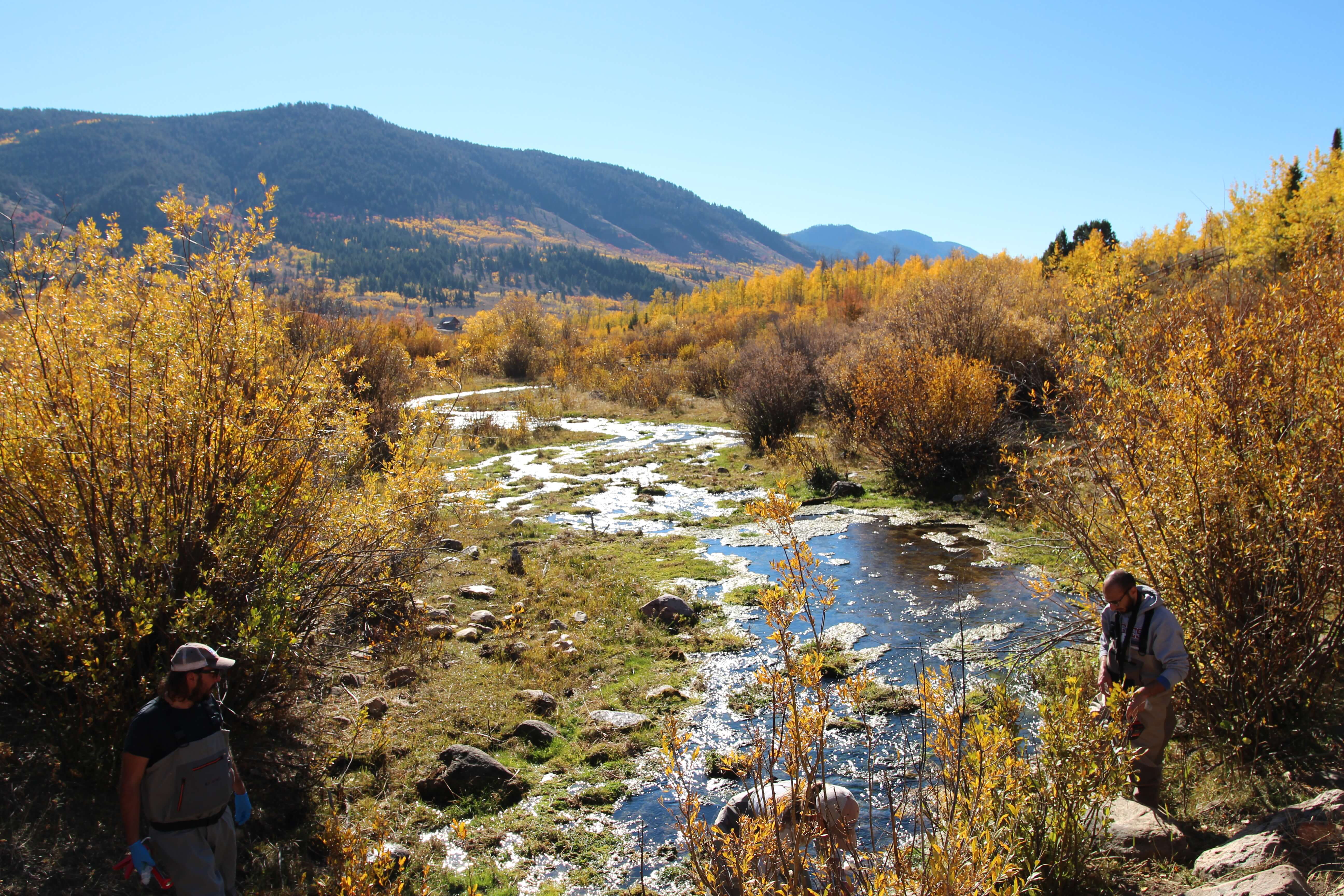 Logan River